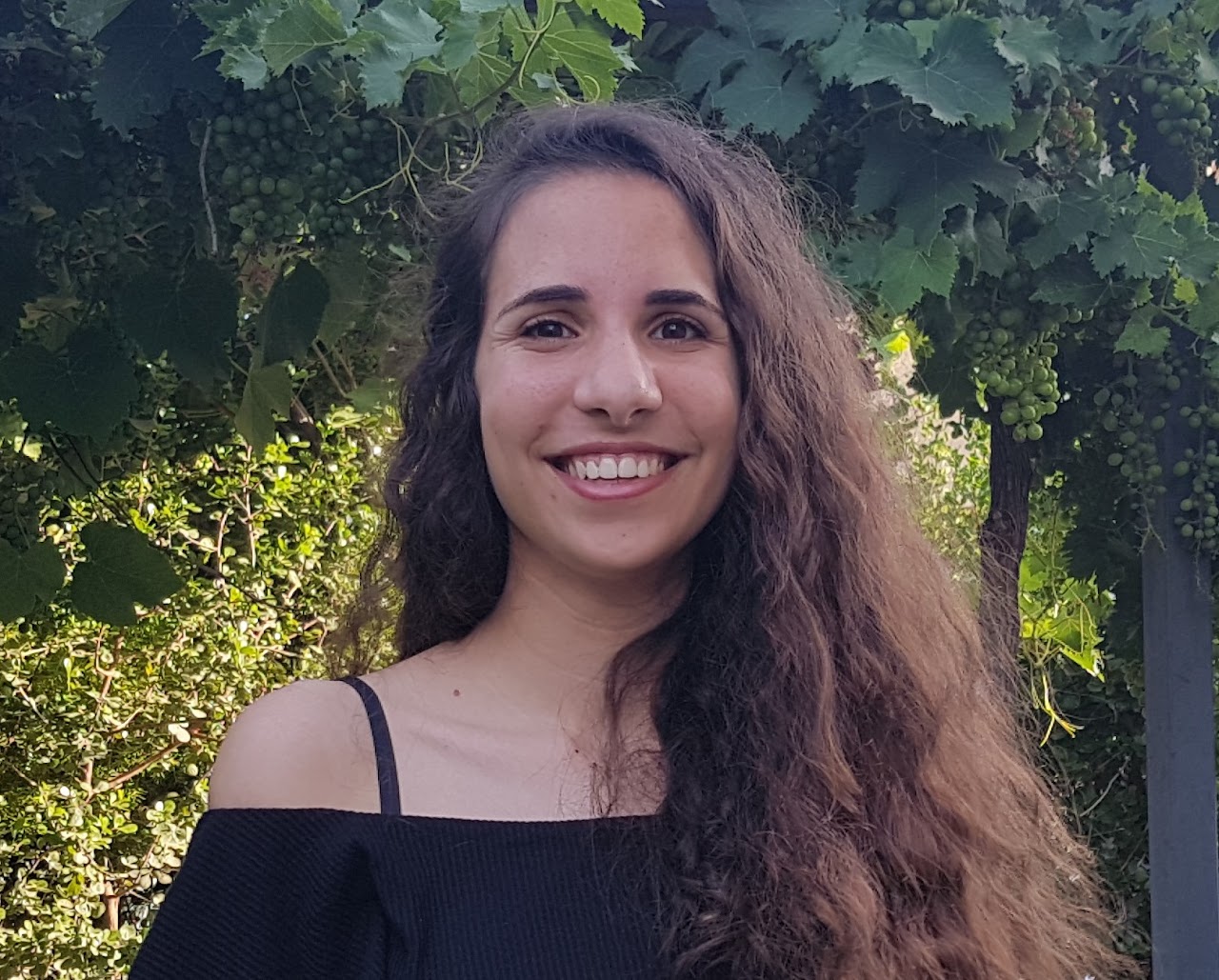 Adi Simhi